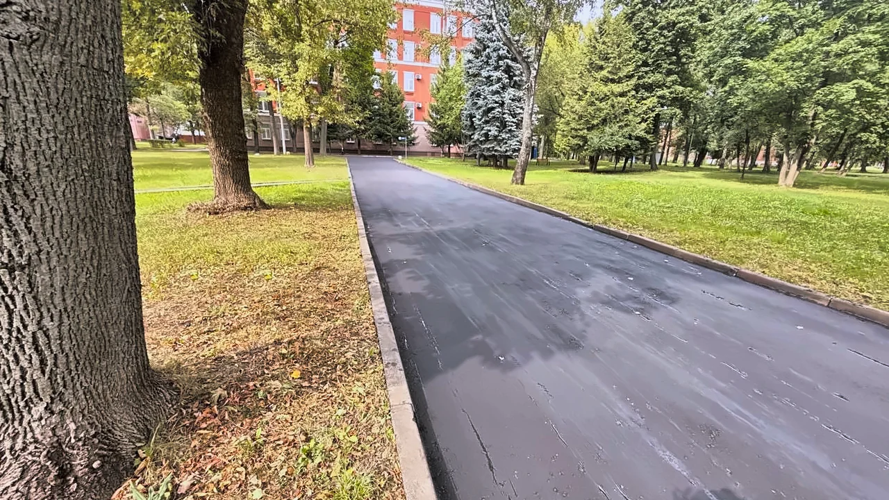 Асфальтовая пешеходная дорожка под деревьями с бордюром — ASFALT-MSK